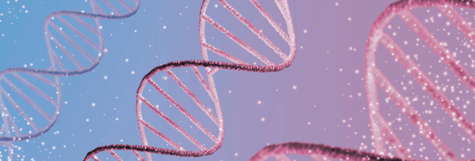 Συναισθήματα, Πεποιθήσεις και DNA Συναισθήματα, Πεποιθήσεις και DNA